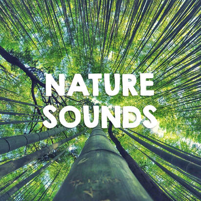 nature sounds for the classroom