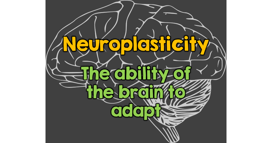 Mindsets in Your Classroom - Neuroplasticity